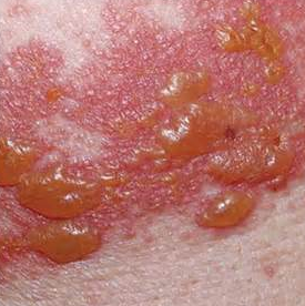 ��״�������ʳ