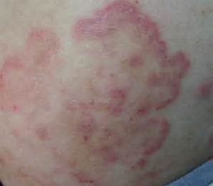 ���й�Ѣ���κ���