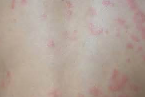 С����ݡ������ô��